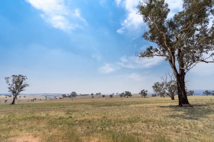 Main view of Homely rural property listing, 333 Bosworth Falls Road, O'connell NSW 2795