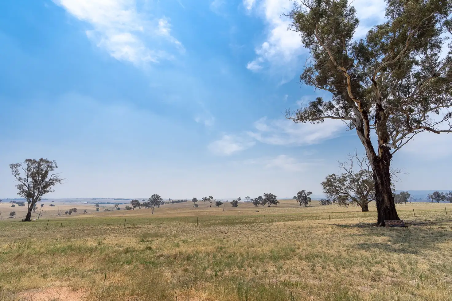 Main view of Homely rural property listing, 333 Bosworth Falls Road, O'connell NSW 2795