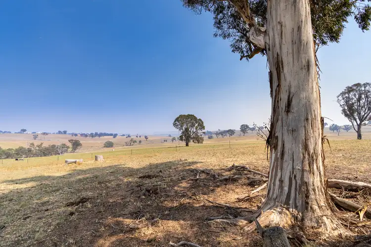 Third view of Homely rural property listing, 333 Bosworth Falls Road, O'connell NSW 2795