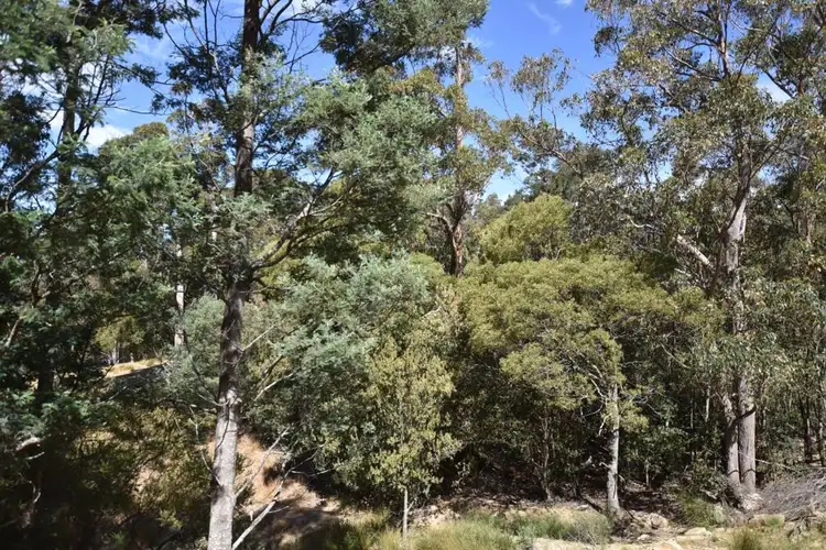 Second view of Homely rural property listing, Lot 1 Blairs Rd, Mole Creek TAS 7304