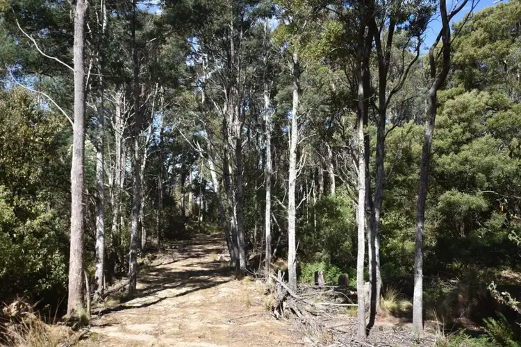 Fourth view of Homely rural property listing, Lot 1 Blairs Rd, Mole Creek TAS 7304