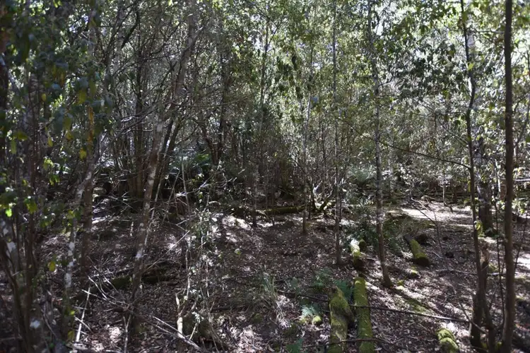 Sixth view of Homely rural property listing, Lot 1 Blairs Rd, Mole Creek TAS 7304