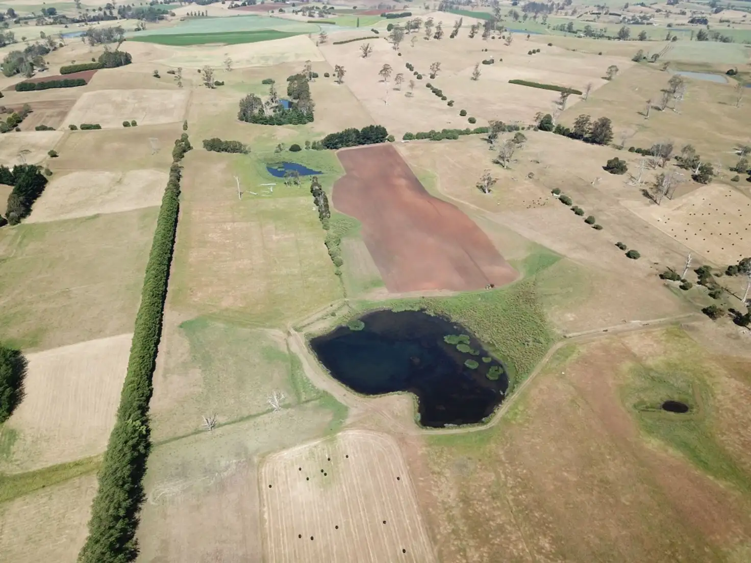 Main view of Homely rural property listing, 305 Bengeo Road, Dunorlan TAS 7304