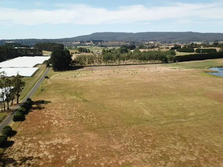 Third view of Homely rural property listing, 305 Bengeo Road, Dunorlan TAS 7304