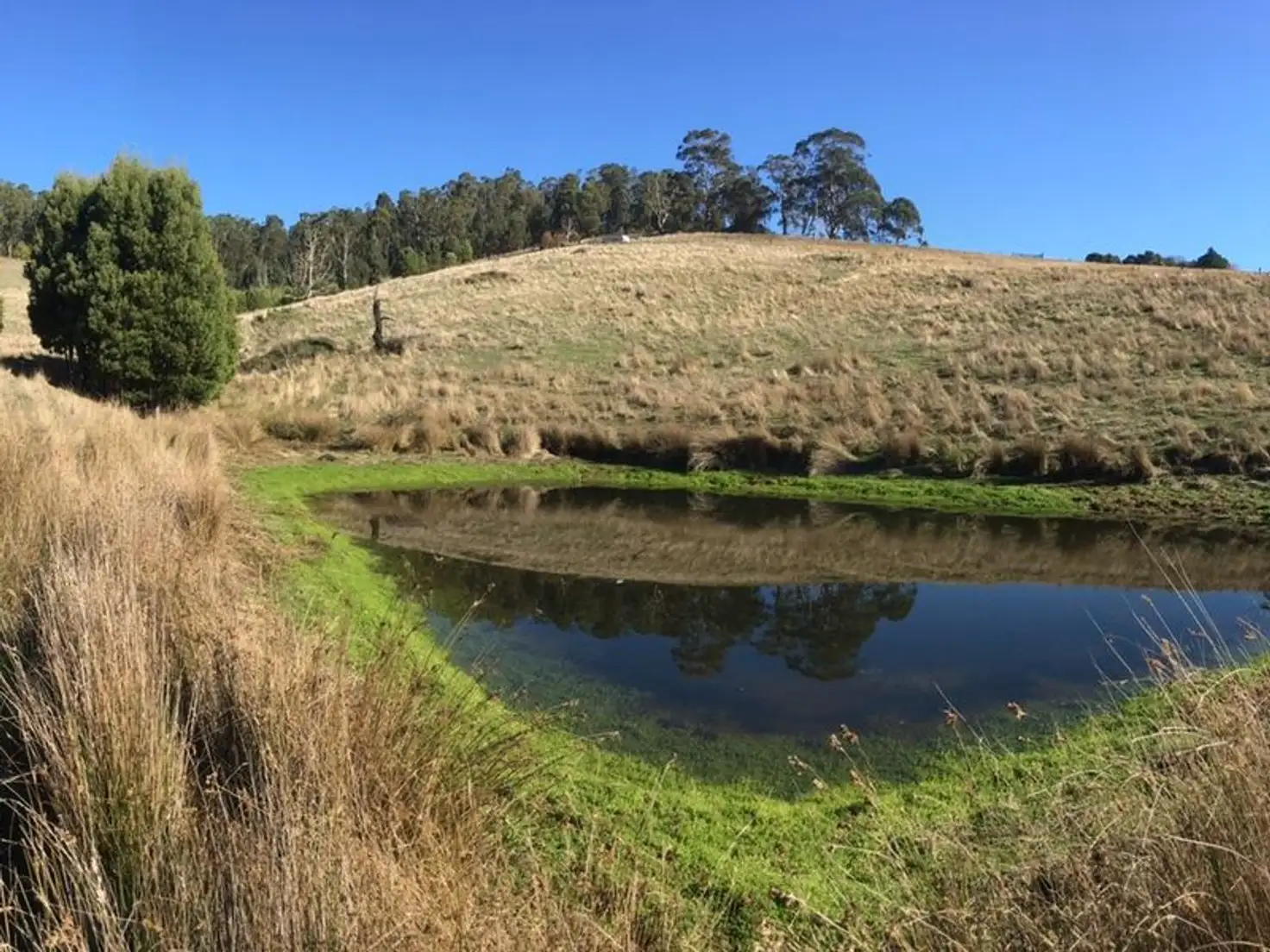 Main view of Homely land listing, Lot 42 Thomson Road, Hazelwood South VIC 3840