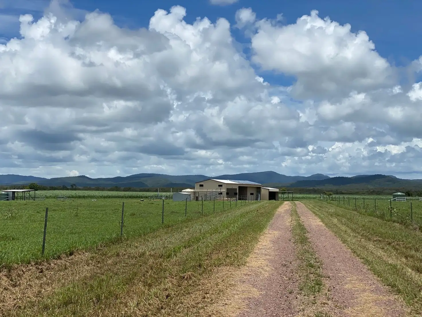 Main view of Homely rural property listing, 87133 Bruce Highway, Ilbilbie QLD 4738