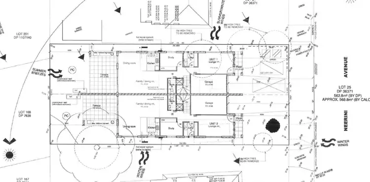 Main view of Homely house listing, 25 Neerini Avenue, Smithfield NSW 2164