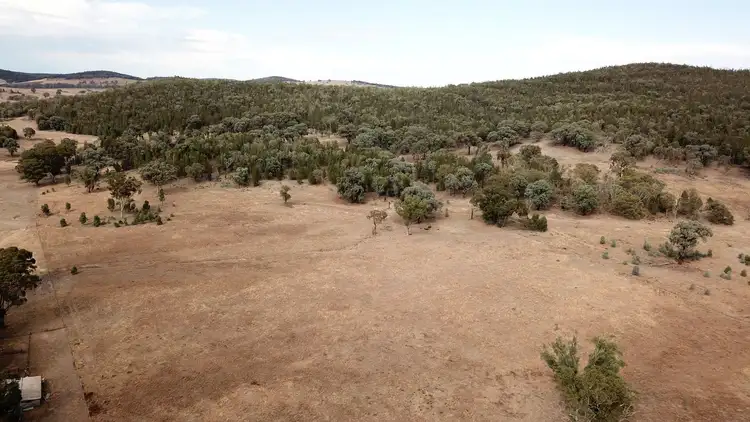 Sixth view of Homely rural property listing, 597 Bocobra Road, Manildra NSW 2865