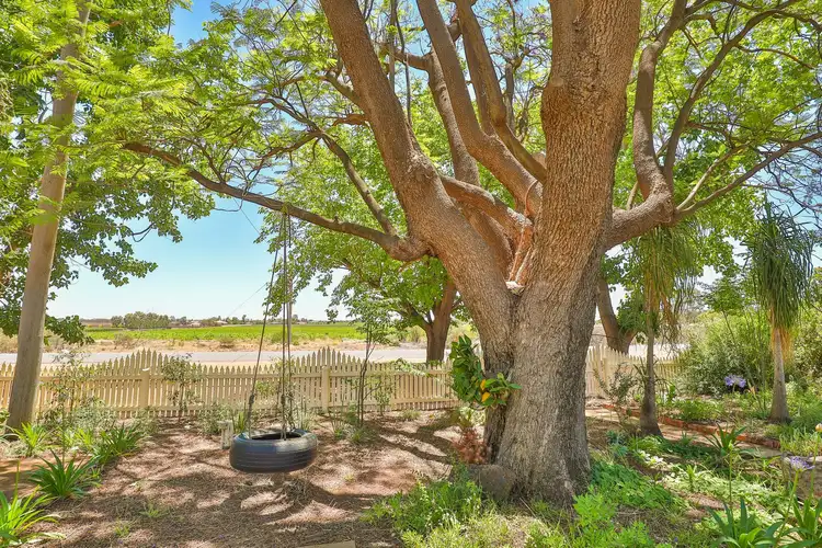 Third view of Homely house listing, 203 Dow Avenue, Irymple VIC 3498