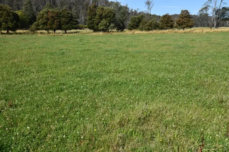 Third view of Homely rural property listing, 295 Native Rock Road, Railton TAS 7305