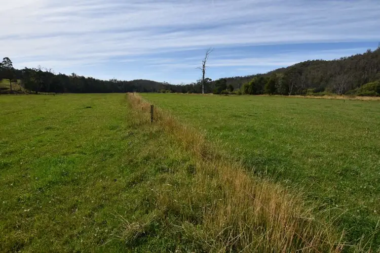 Fourth view of Homely rural property listing, 295 Native Rock Road, Railton TAS 7305