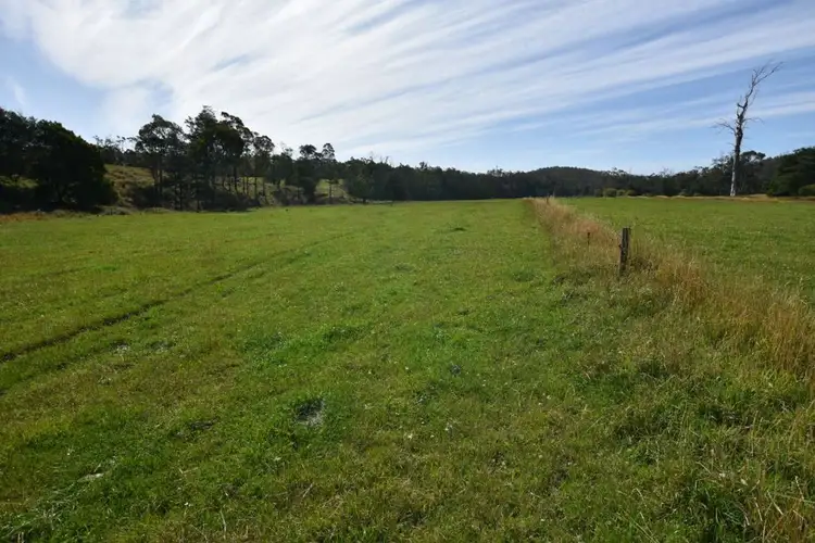 Fifth view of Homely rural property listing, 295 Native Rock Road, Railton TAS 7305