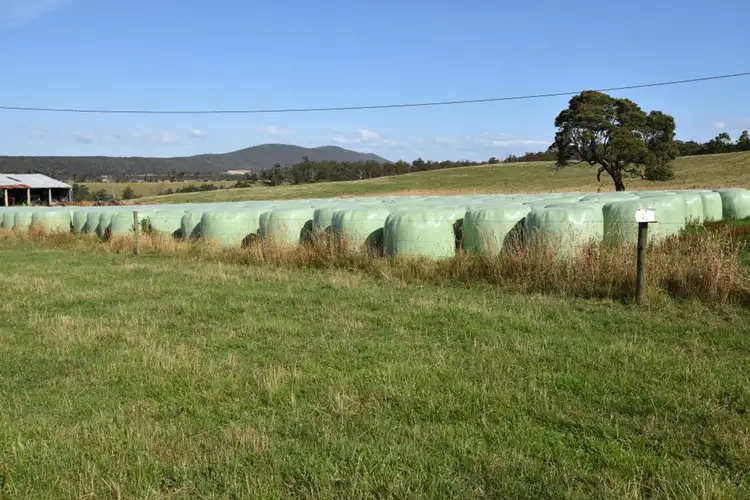 Seventh view of Homely rural property listing, 295 Native Rock Road, Railton TAS 7305