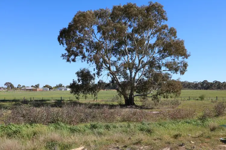 Fifth view of Homely land listing, 6 Marion Street, Carisbrook VIC 3464