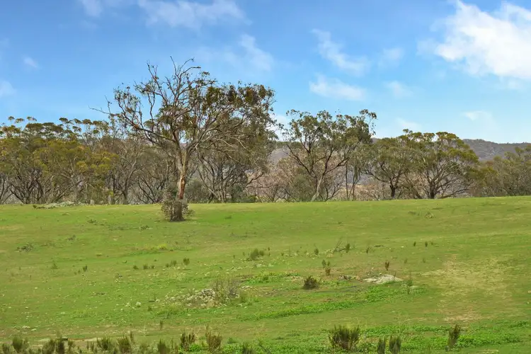 Seventh view of Homely land listing, 185 Peregrine Road, Billywillinga NSW 2795