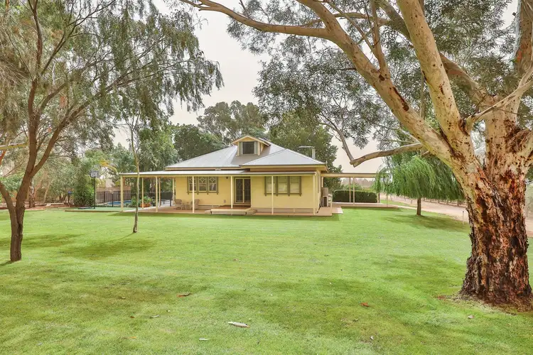 46 Millewa Avenue, Irymple VIC 3498