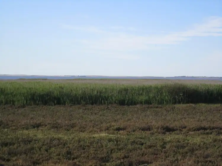 Fifth view of Homely rural property listing, Lot/101 Richmore Road, Milang SA 5256