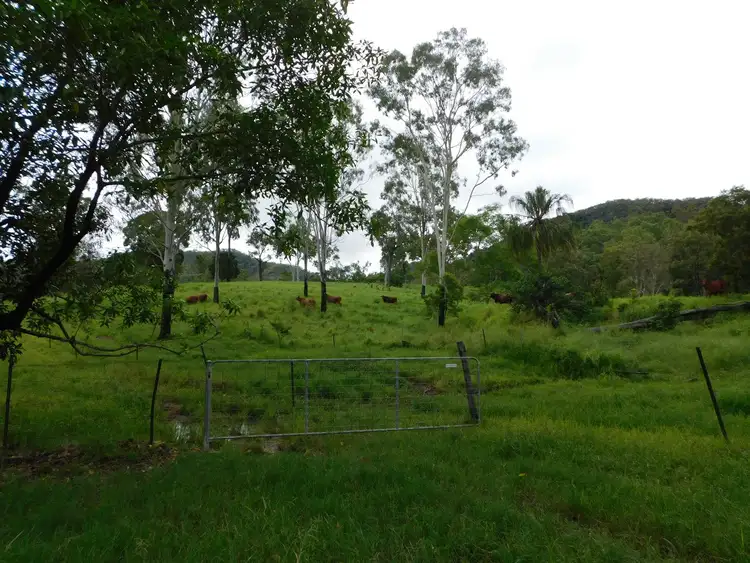 Fourth view of Homely rural property listing, 240 Sands Road, Koumala QLD 4738