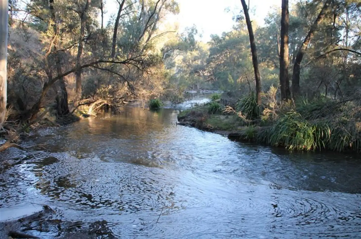Main view of Homely rural property listing, Lot 48 Mole River Road, Tenterfield NSW 2372