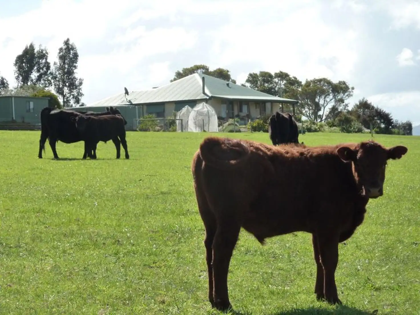 Main view of Homely rural property listing, 79 Fuller Road, Napier WA 6330