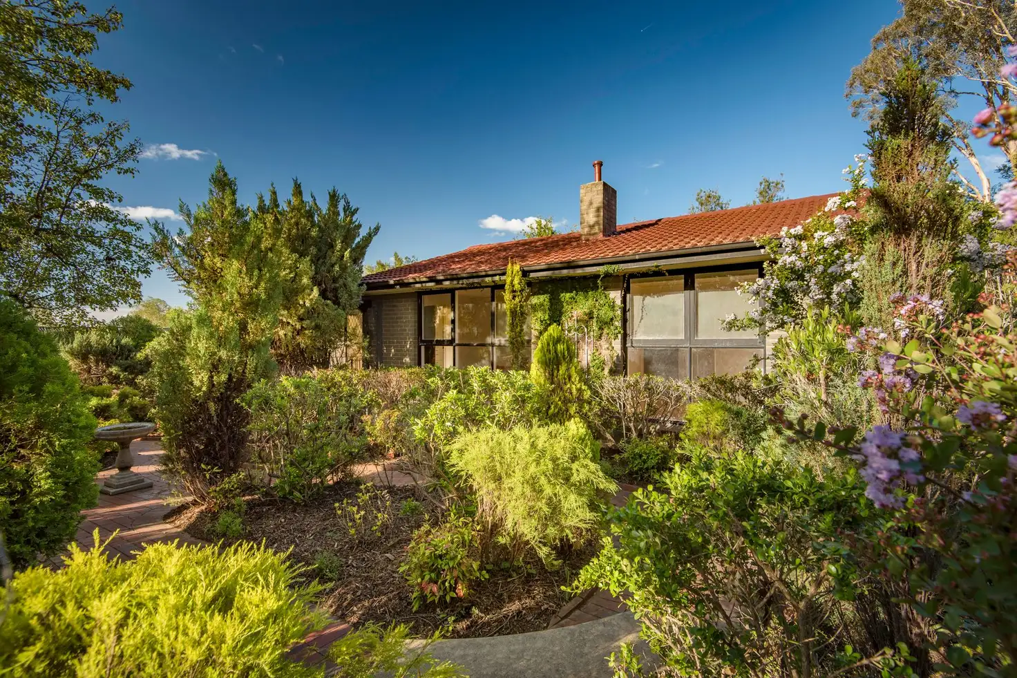 Main view of Homely house listing, 24 Grylls Crescent, Cook ACT 2614