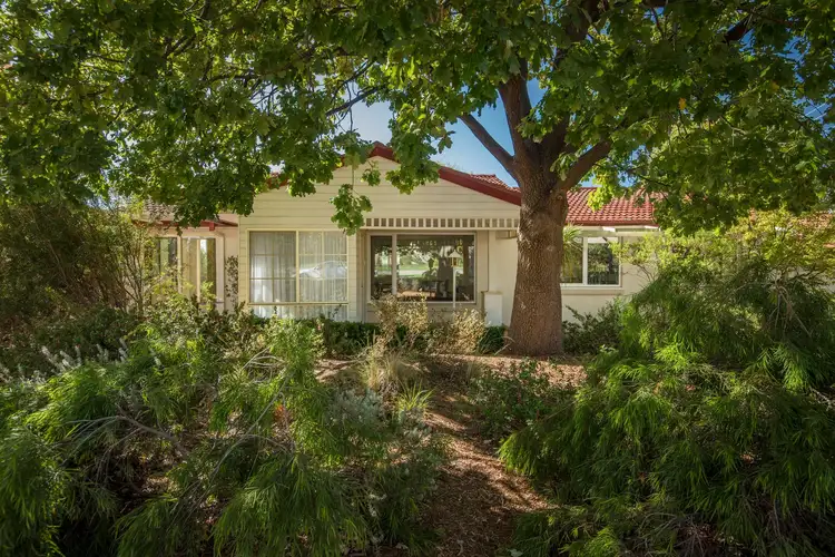 24 Elizabeth Crescent, Macquarie ACT 2614
