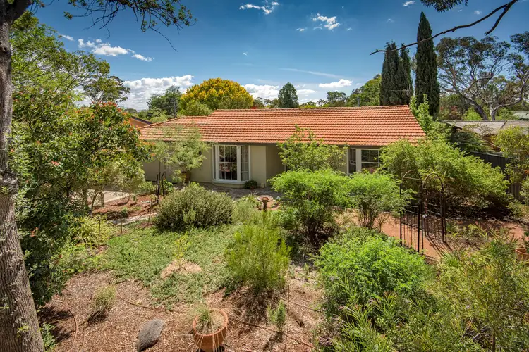 163 Duffy Street, Ainslie ACT 2602