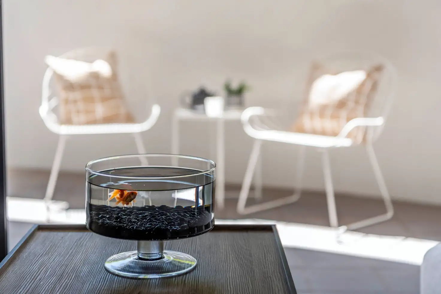 Main view of Homely house listing, 210/1 Mouat Street, Lyneham ACT 2602