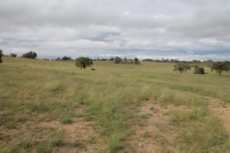 Third view of Homely rural property listing, Lot 2 Mole Station Road, Tenterfield NSW 2372