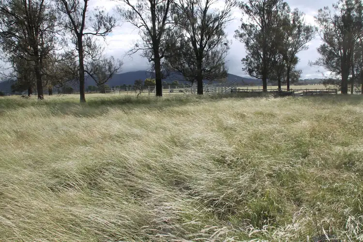 Fourth view of Homely rural property listing, Lot 2 Mole Station Road, Tenterfield NSW 2372