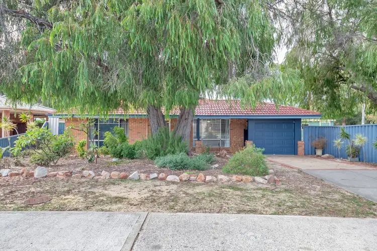 Main view of Homely house listing, 1 Ferguson Street, Falcon WA 6210