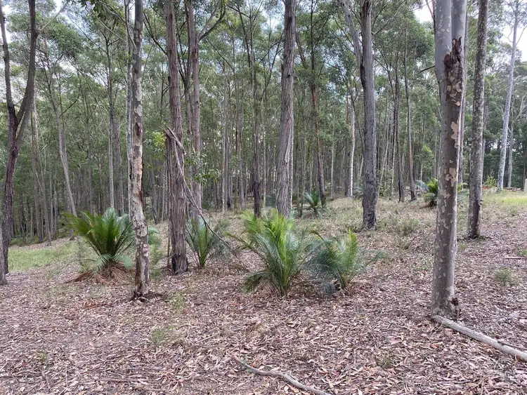 Fifth view of Homely land listing, 6 Woodlot Place, Batehaven NSW 2536