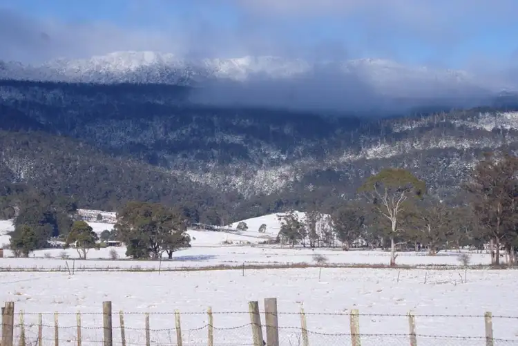 Fifth view of Homely rural property listing, Lot 1 Western Creek Rd, Western Creek TAS 7304