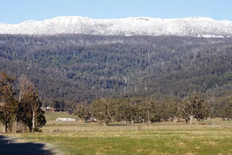 Sixth view of Homely rural property listing, Lot 1 Western Creek Rd, Western Creek TAS 7304