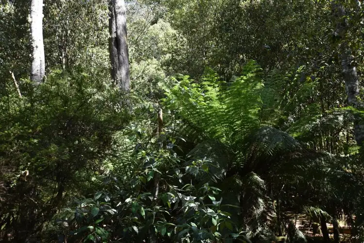 Seventh view of Homely rural property listing, Lot 1A Western Creek Road, Western Creek TAS 7304