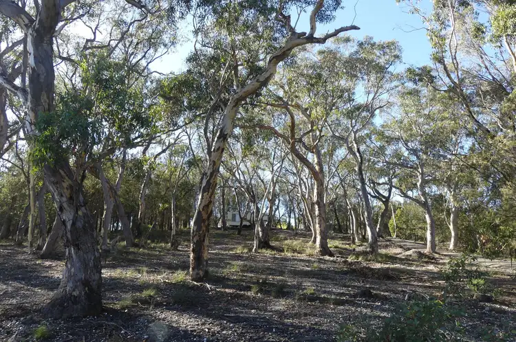Lot 4 Caoura Road, Tallong NSW 2579