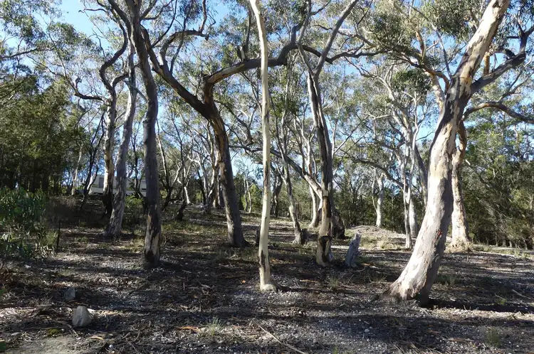 Fourth view of Homely land listing, Lot 4 Caoura Road, Tallong NSW 2579
