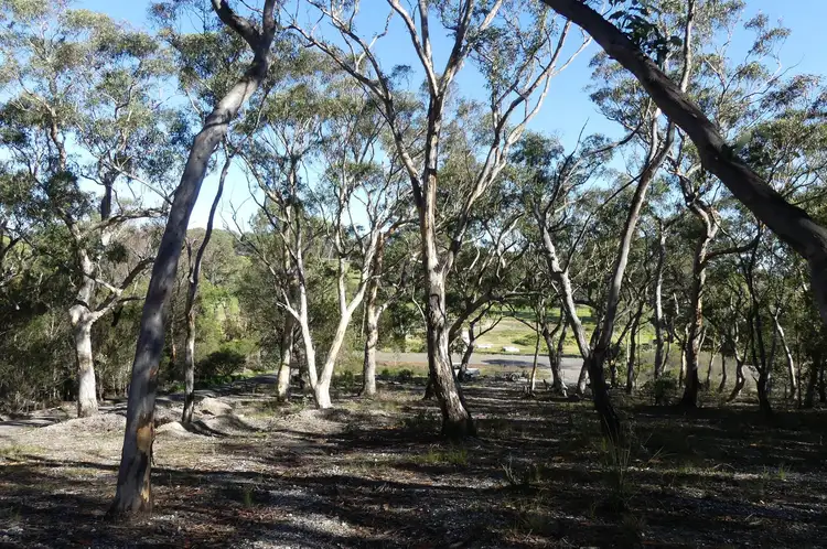 Sixth view of Homely land listing, Lot 4 Caoura Road, Tallong NSW 2579