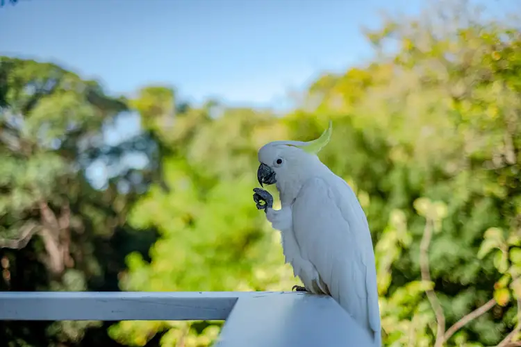 Fourth view of Homely house listing, 21 Beach Drive, Killcare NSW 2257