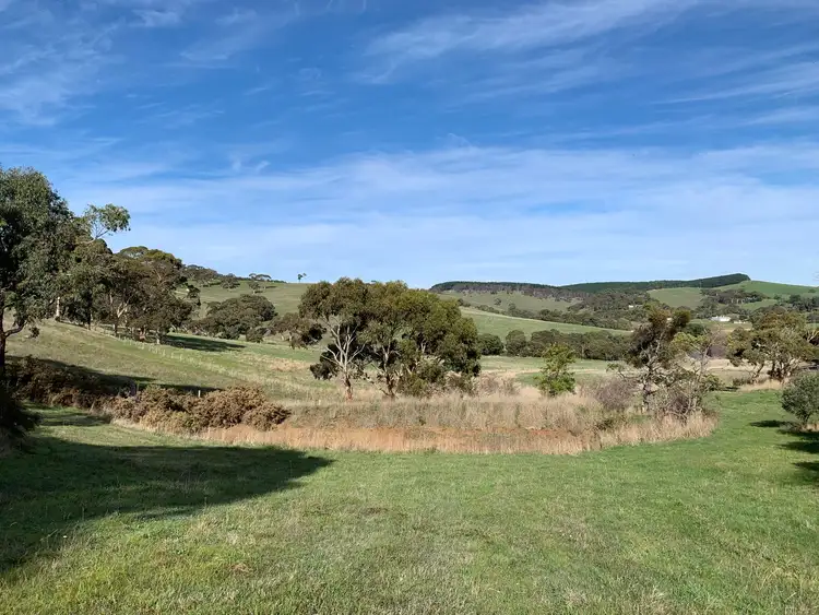 Fifth view of Homely rural property listing, 6 Forest Road, Delamere SA 5204