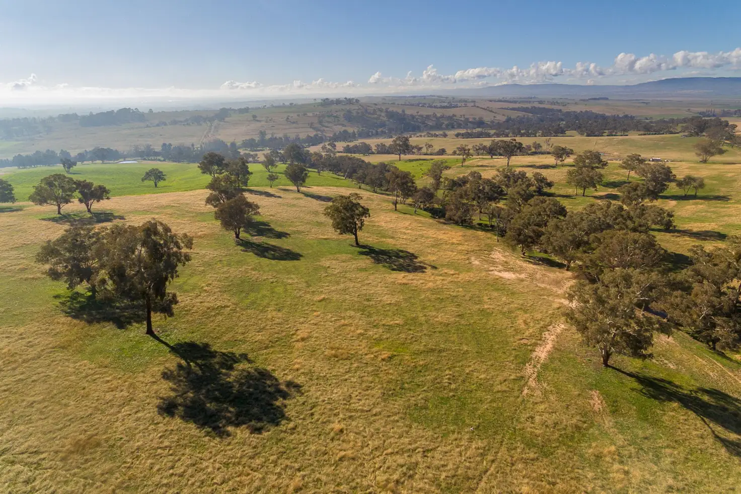 Main view of Homely rural property listing, 165 Bidgeribbin Road, Gormans Hill NSW 2795