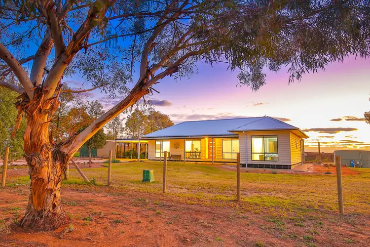 Main view of Homely house listing, 12 Krake Road, Red Cliffs VIC 3496