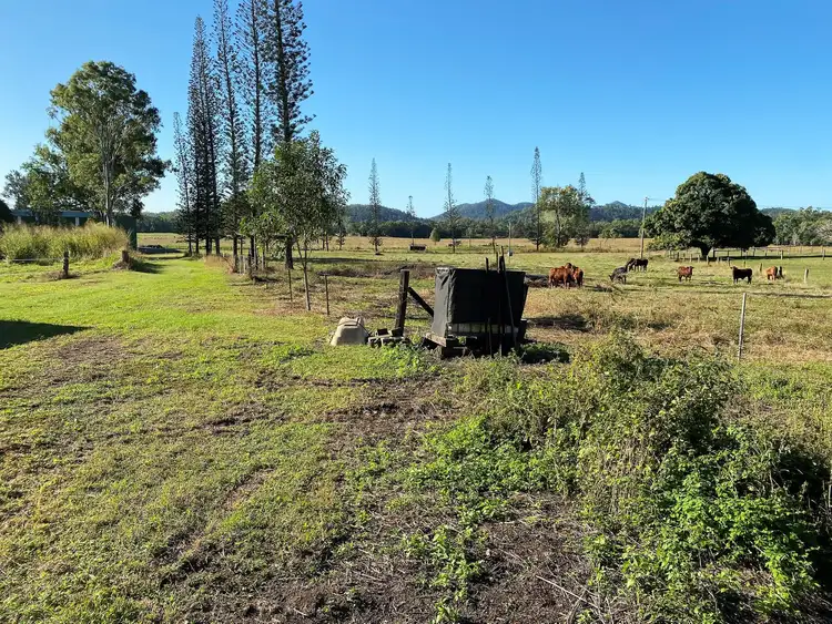 Fourth view of Homely rural property listing, 1687 Yakapari-Seaforth Road, Mount Jukes QLD 4740