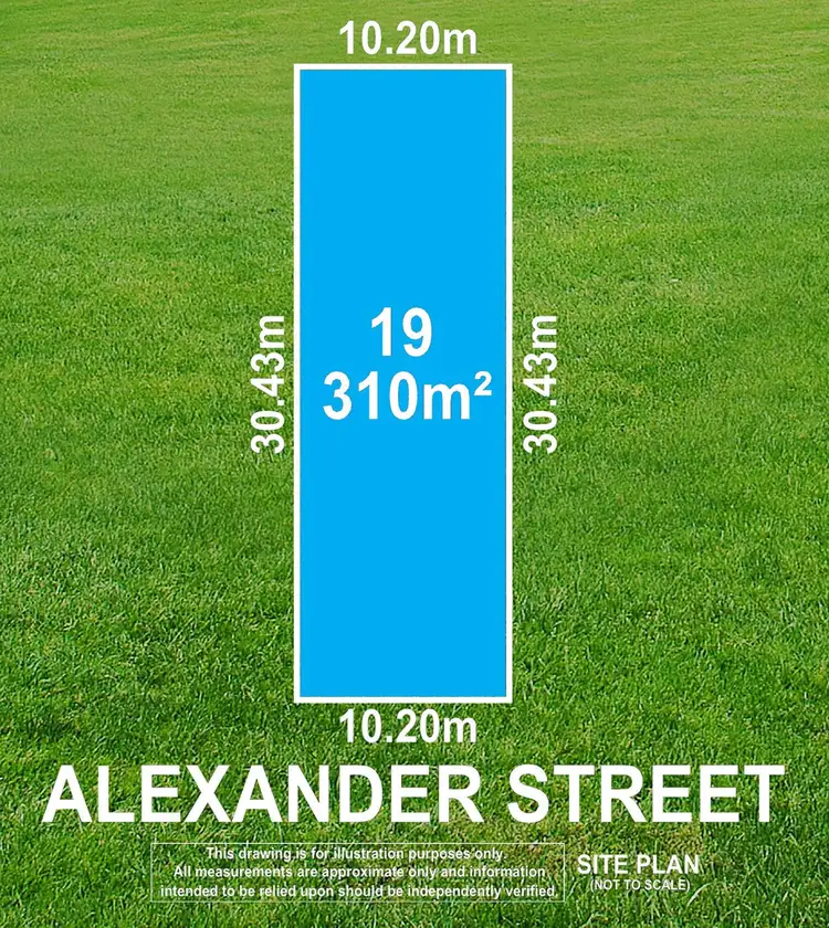 19 Alexander Street, Royal Park SA 5014
