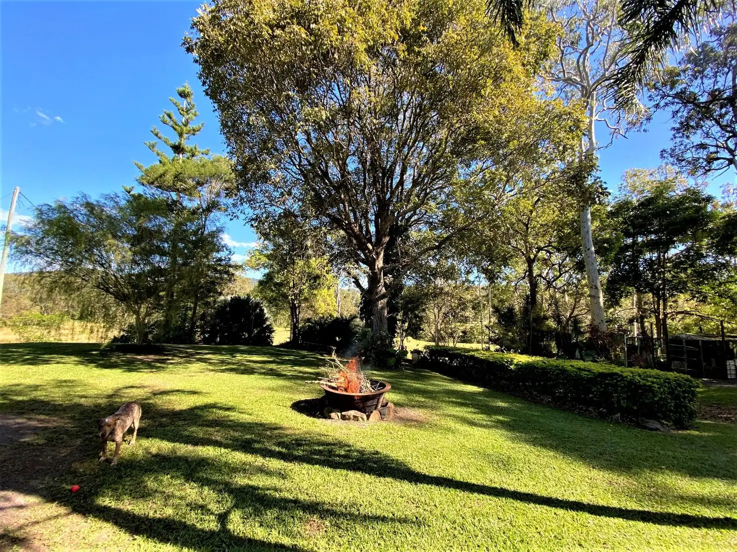 Main view of Homely rural property listing, 1587 Marlborough Sarina Road, Sarina Range QLD 4737