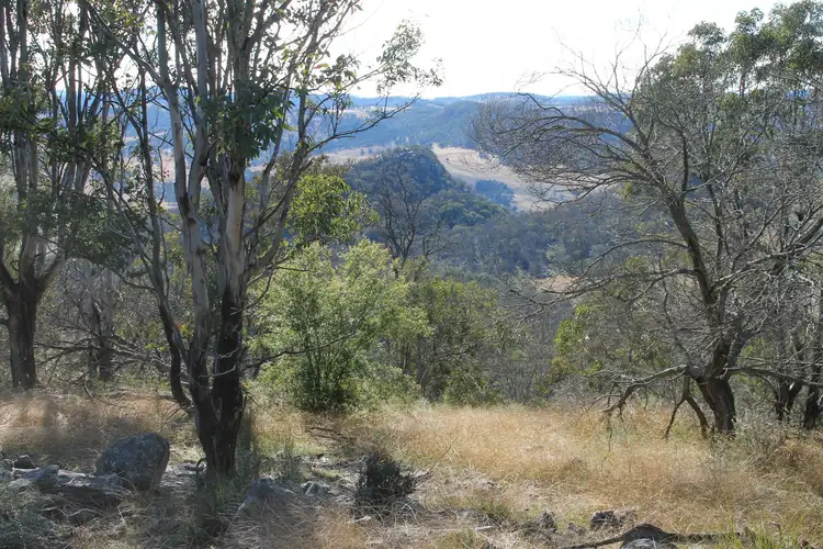 Lot 24 Bluff Creek Road, Tenterfield NSW 2372