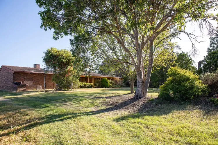 424 Mt Lindesay Road, Tenterfield NSW 2372