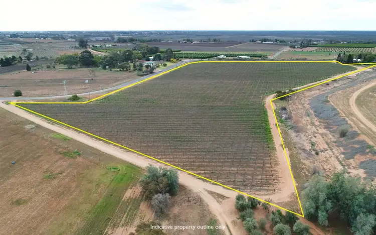 Main view of Homely rural property listing, Lot 2/51A Pumps Road, Red Cliffs VIC 3496