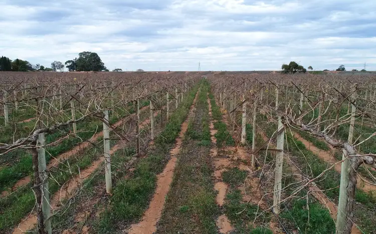 Second view of Homely rural property listing, Lot 2/51A Pumps Road, Red Cliffs VIC 3496
