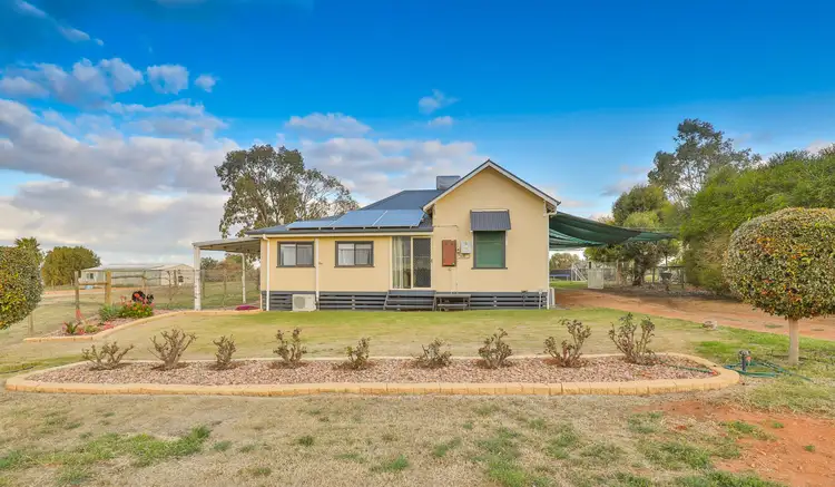 Main view of Homely house listing, 12 Janson Lane, Red Cliffs VIC 3496